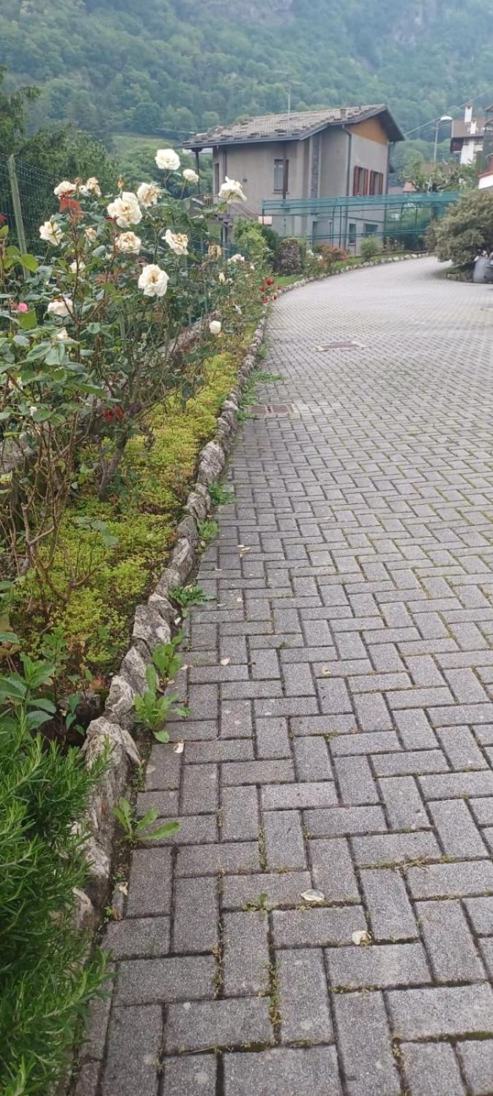 Casa Di Sofia E Oscar Lago Di Como Canzo Bagian luar foto